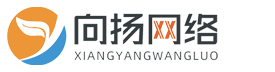 向扬网络公司